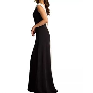 Tadashi Shoji High Neck, Drape Back Gown NEVER WORN